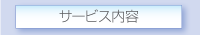 サービス内容